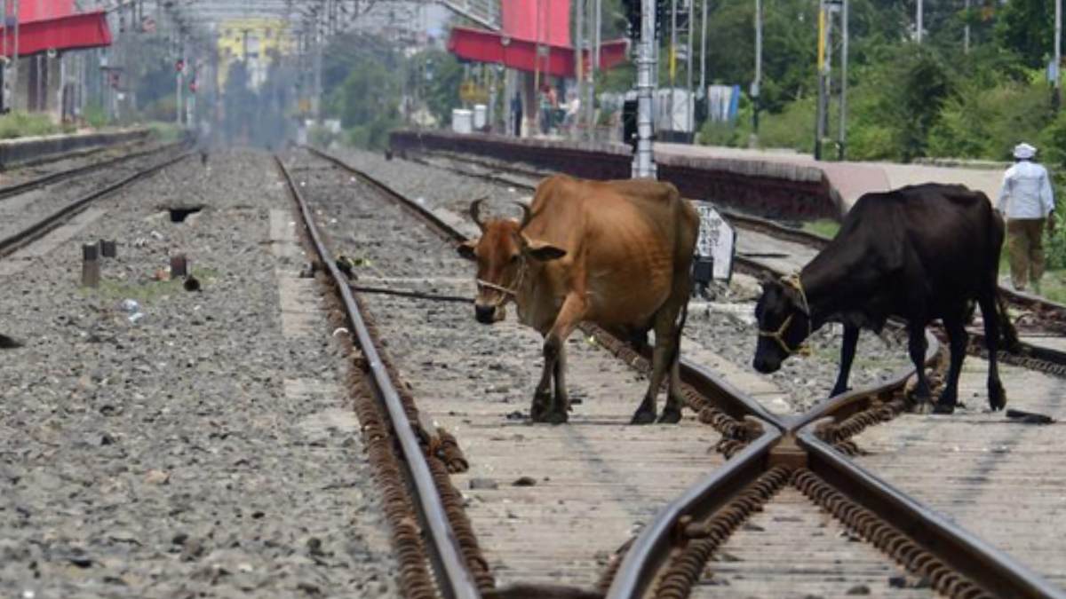 Bhopal Vande Bharat Express hits cow in Gwalior 