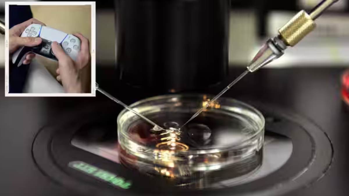  How First babies conceived with sperm robot using PlayStation 5