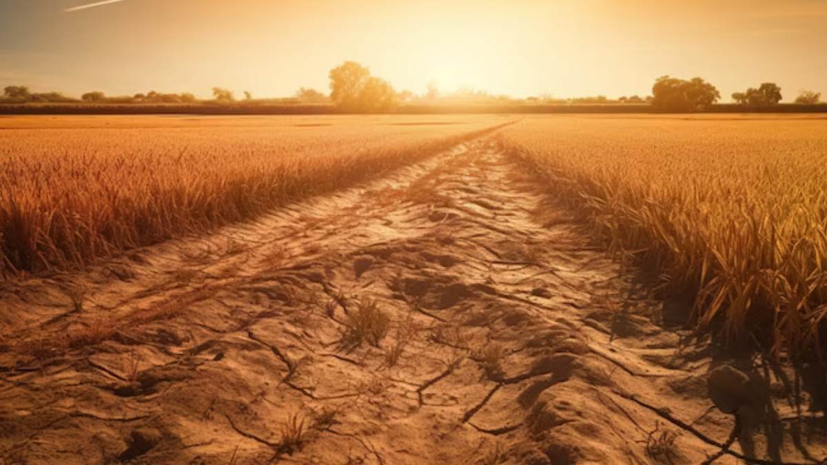  How extreme heat will affect India in multiple ways including Economy