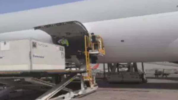 விமானத்தை ஆய்வு செய்தனர் விமானத்தை ஆய்வு செய்தனர்