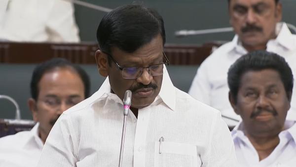 Buffalo Calf growing Program will be implemented : Dairy minister Nasar announcemnents 