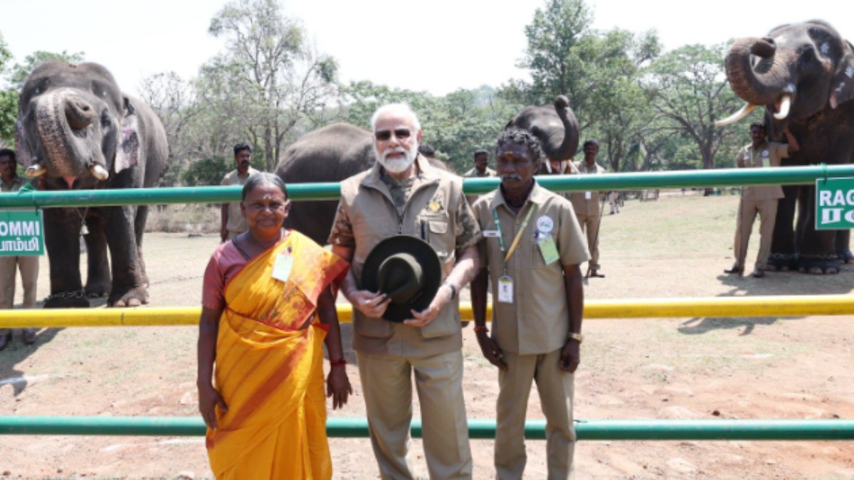 Prime Minister Modi invited the oscar Winnig heros Bomman-Belli couple to Delhi Prime Minister Modi invited the oscar Winnig heros Bomman-Belli couple to Delhi