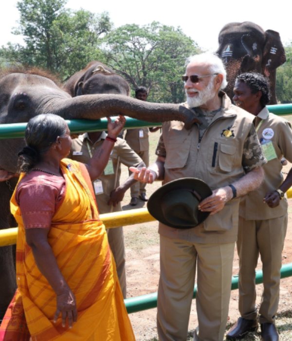 Prime Minister Modi invited the oscar Winnig heros Bomman-Belli couple to Delhi Prime Minister Modi invited the oscar Winnig heros Bomman-Belli couple to Delhi