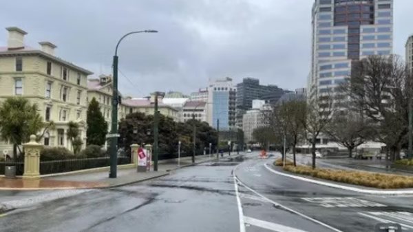 Why New Zealand people are in fear with their citys light bulbs 