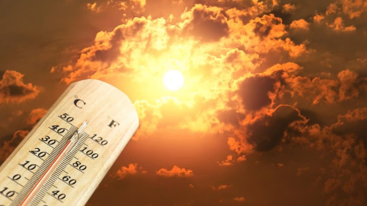 Weather News: Temperature reached 100 degree F in ten districts in Tamil Nadu Weather News: Temperature reached 100 degree F in ten districts in Tamil Nadu