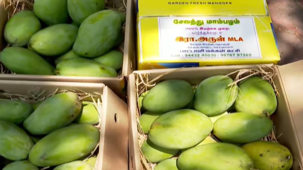 Why did Tamil Nadu assembly members stunned after a surprise from a PMK MLA? 