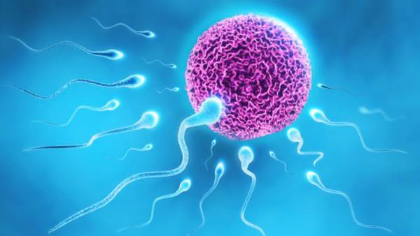 Infertility and the role of planets: Food Astrology remedies removes of Infertility