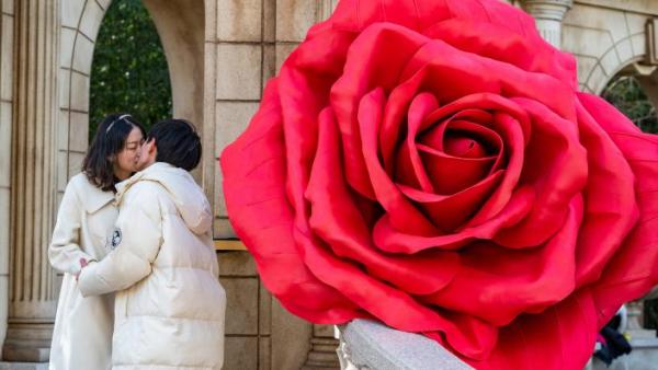 காதலில் விழுவதற்காக விடுமுறை 