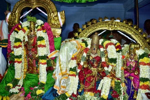 Madurai Meenakshi Sundareswarar who came to Thangapallak Muslims gives rosemilk for devotees 