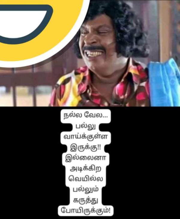 Funny memes collections on summar 25-05-2023