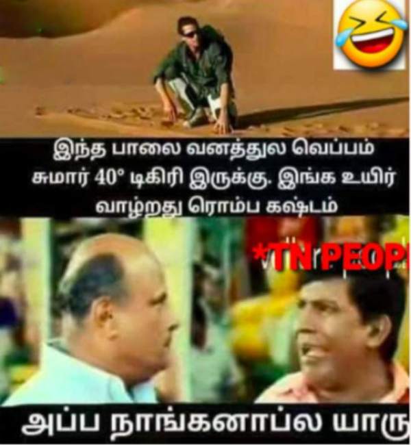 Funny memes collections on summar 19-05-2023