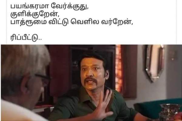 Funny memes collections on summar 19-05-2023