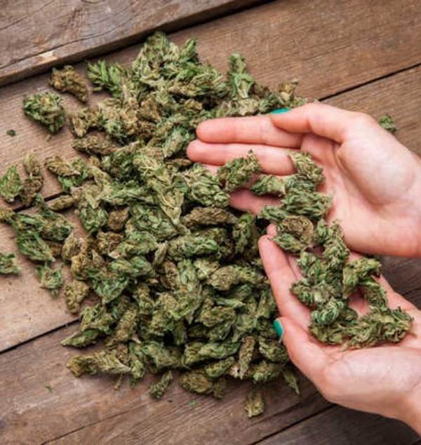 Tamil Nadu Police has released phone numbers to inform about the sale of ganja Tamil Nadu Police has released phone numbers to inform about the sale of ganja