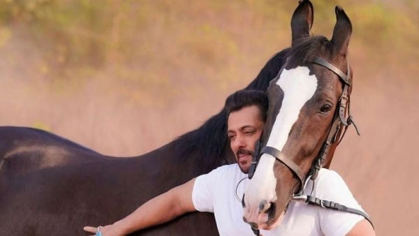  Lets look the Salman khans panvel farm house price and features 