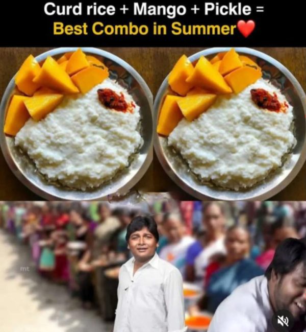 Funny memes collections on summar 25-05-2023