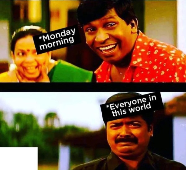 Funny memes collections on monday work mode