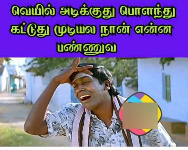  Funny memes collection on summar heat 17052023 