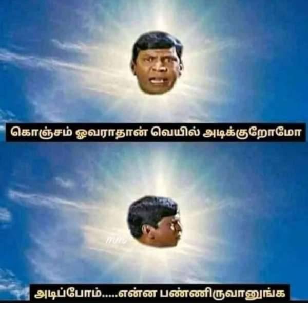 Funny memes collection on summer 252023