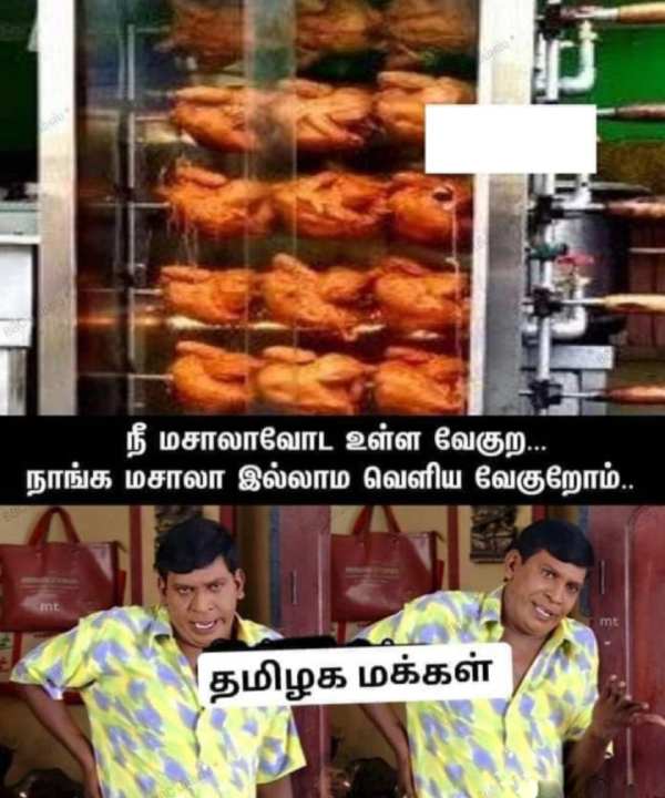 Funny memes collections on summar 25-05-2023