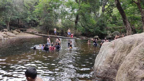  increased summer rains water has increased in Nellai Kalakadu thalayanai aruvi 