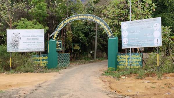  increased summer rains water has increased in Nellai Kalakadu thalayanai aruvi 
