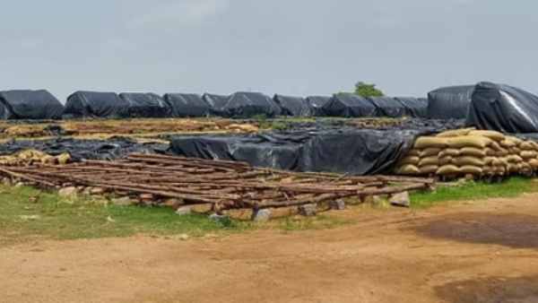  Anbumani asked how 7000 ton on paddy missing in Dharmapuri 