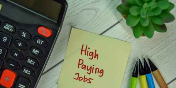 hi plus 2 students, this is Top 19 Highest Salary Jobs in India to Watch Out for in 2023 