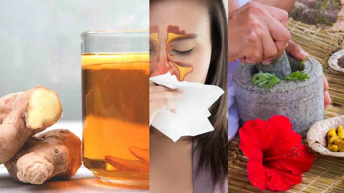 What is Sinus? Here Is The Simple Home Remedies For Sinusitis Problems What is Sinus? Here Is The Simple Home Remedies For Sinusitis Problems