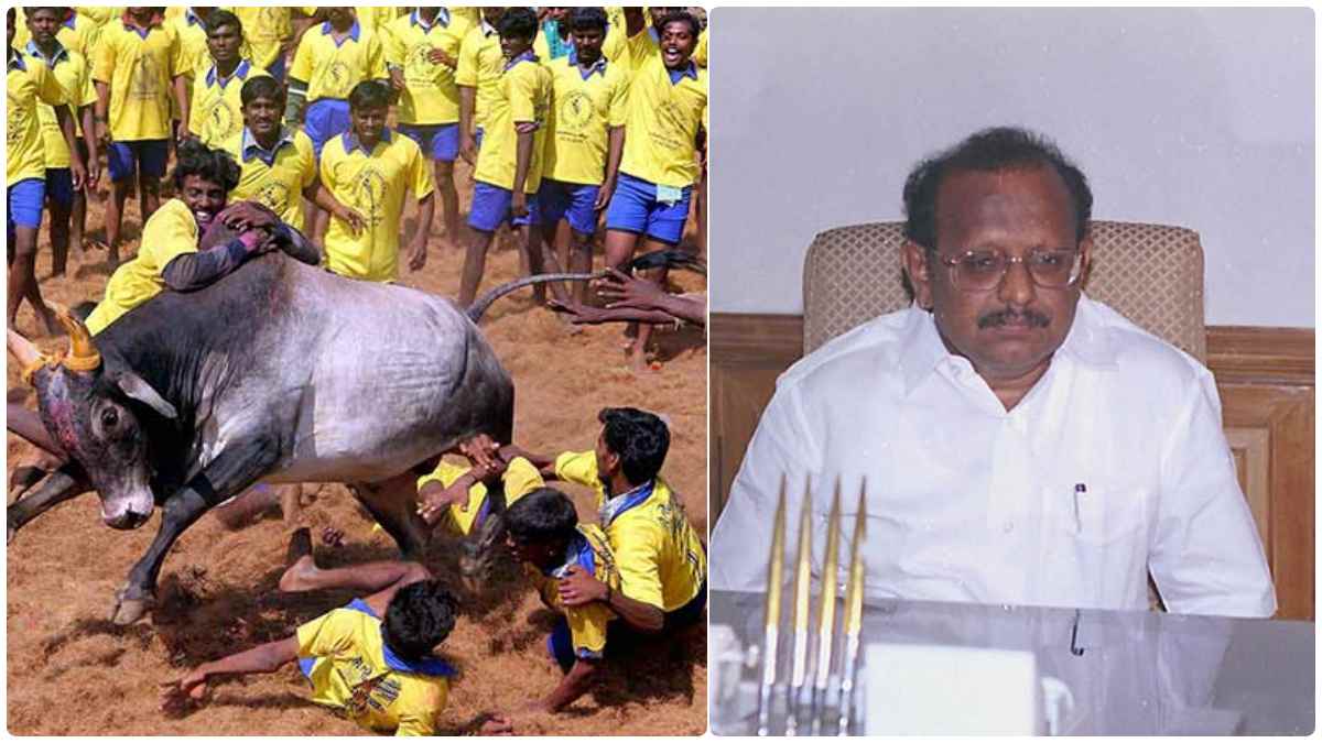 Jallikattu Supreme court gives historical verdict says Vijayabaskar and law minister Ragupathi Jallikattu Supreme court gives historical verdict says Vijayabaskar and law minister Ragupathi