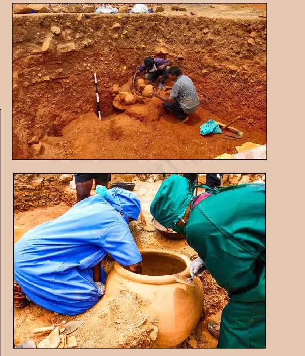 Adichanallur is the first archaeological site in Tamil Nadu where gold was excavated