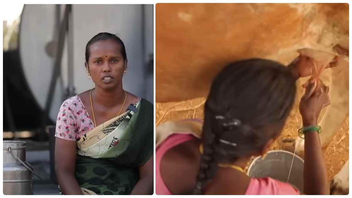  Success story of milk producers of Thiruvannamalai district