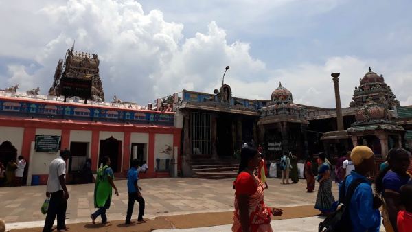 Vaikasi barani star Bogar jayanthi devotees special prayer in Palani Dhandayuthapani temple 