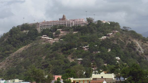 Vaikasi barani star Bogar jayanthi devotees special prayer in Palani Dhandayuthapani temple 