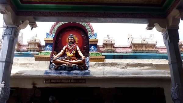 Vaikasi barani star Bogar jayanthi devotees special prayer in Palani Dhandayuthapani temple 
