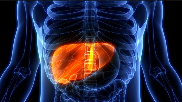 did Manobala died due to liver problem? how to survive liver damage?