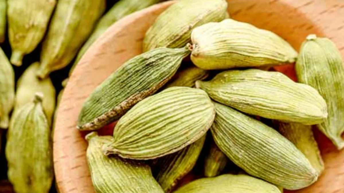 Cardamom Benefits In Tamil: Elaichi relief nerves issue Cardamom Benefits In Tamil: Elaichi relief nerves issue