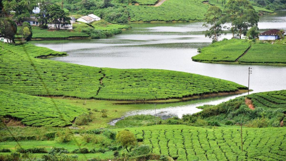 Tour: Unmissable Tourist Places in Theni 