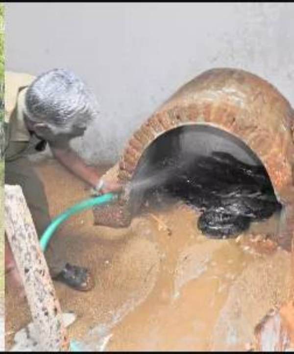 Vandalur Zoo and more than 25000 people visited summer holidays in one day 