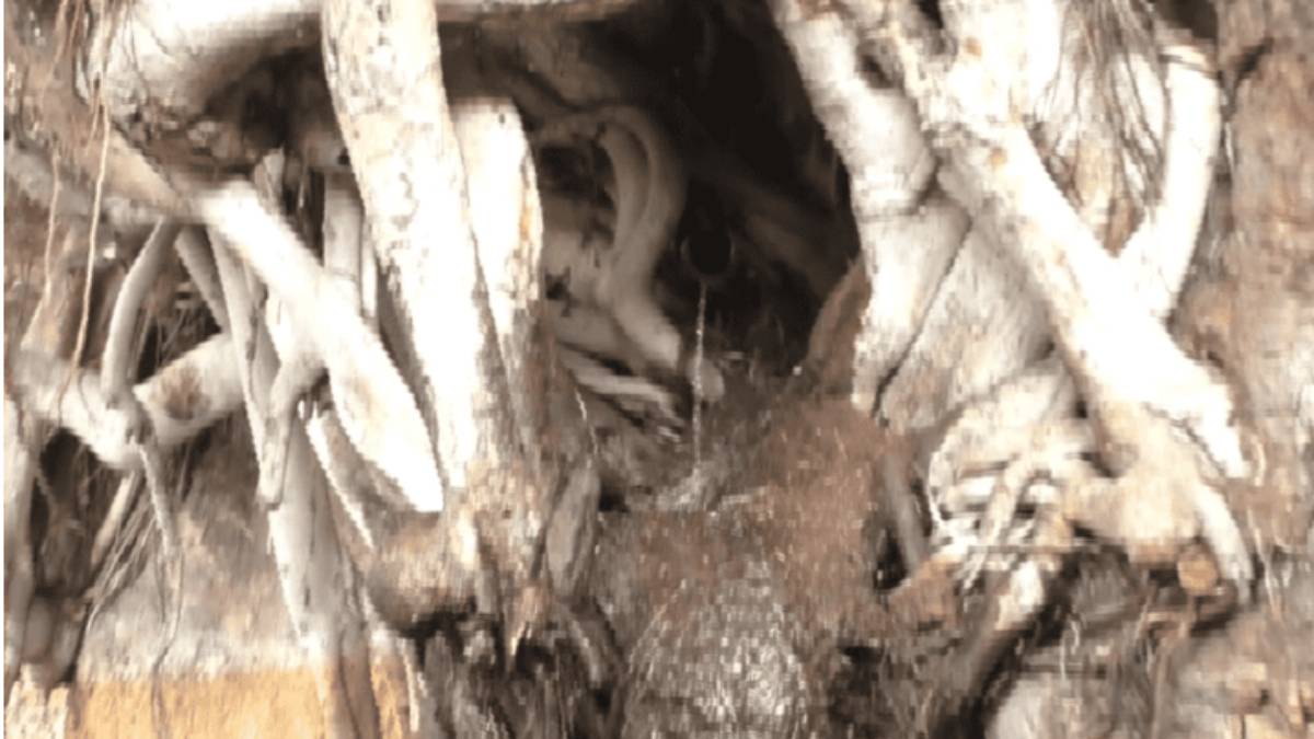 A water came from rocks where 18 siddhars did penance 