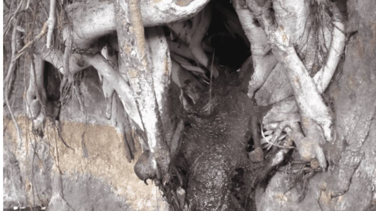 A water came from rocks where 18 siddhars did penance 