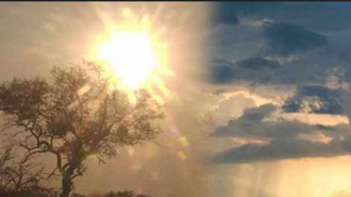 Health News: Simple ways to get rid of skin damage during summer season 