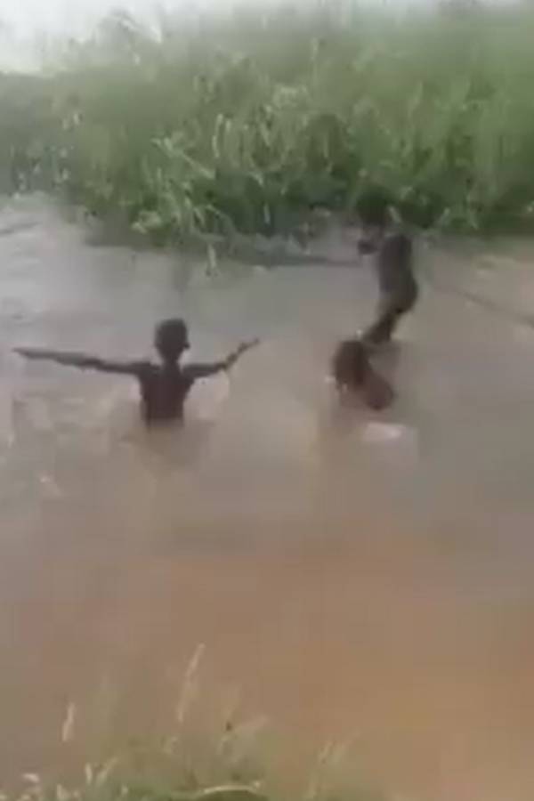 Netizens Terrified as Hippopotamus Nearly Swallows Children In Chilling Throwback Video