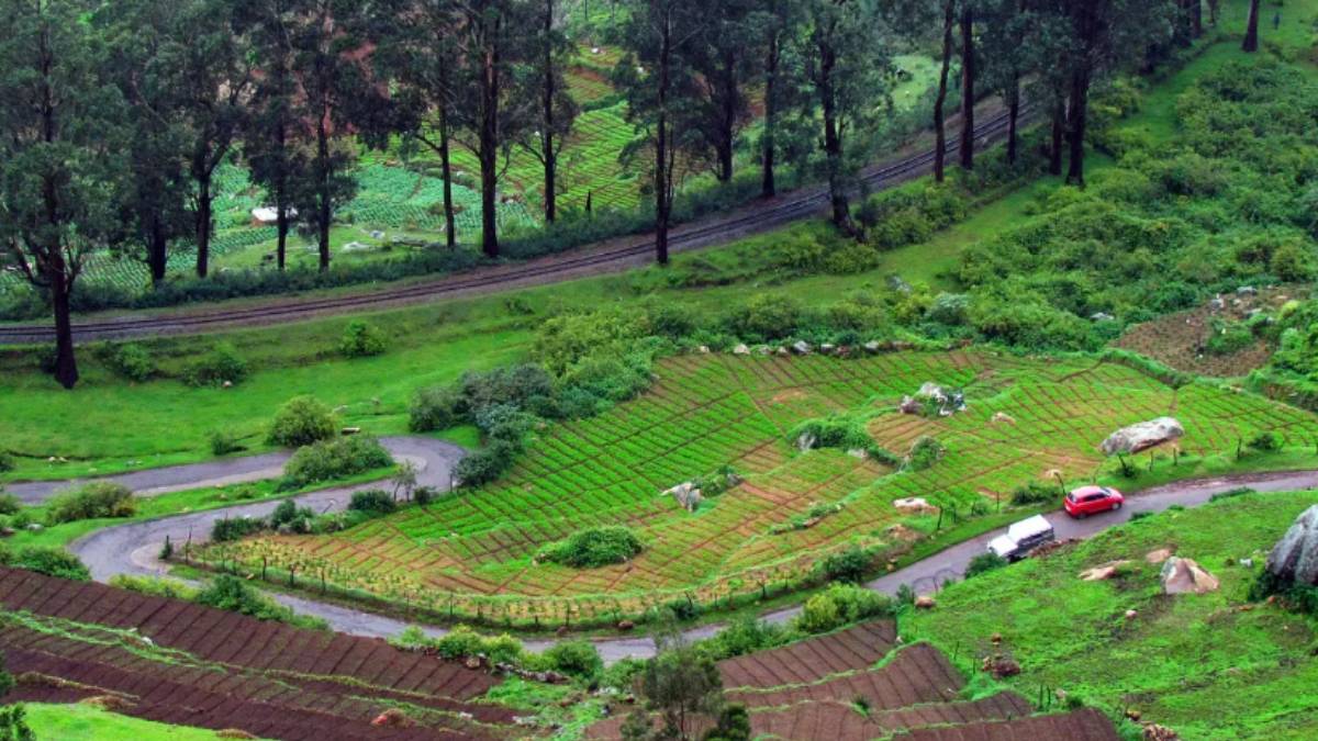 You can see the entire Ooty for 100 rupees: Super thing done by the government 