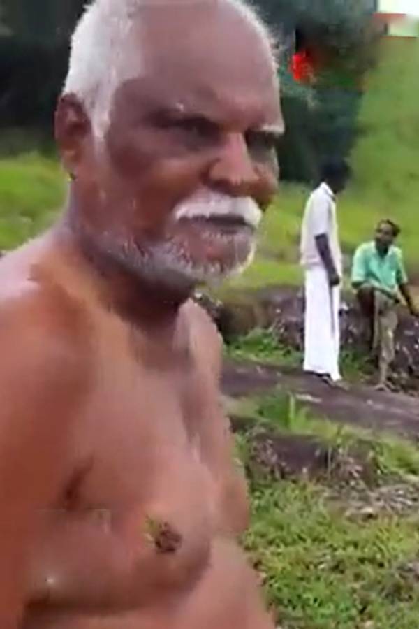 Five illegally enters into ponnambalamedu and conduct special pooja at sabarimala Five illegally enters into ponnambalamedu and conduct special pooja at sabarimala