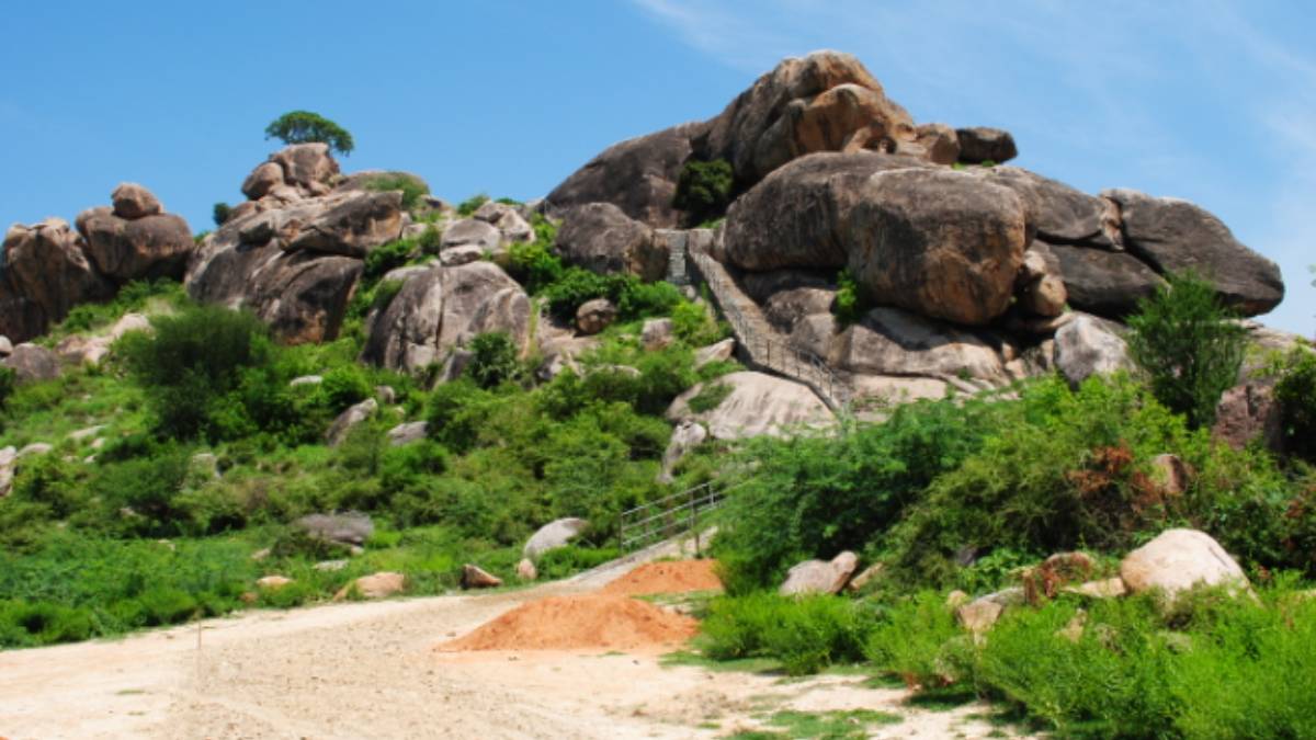 Tour: Unmissable Tourist Places in Thiruvannamalai 