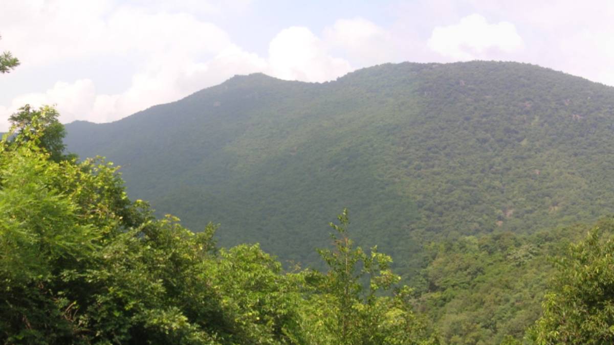 Tour: Unmissable Tourist Places in Thiruvannamalai 