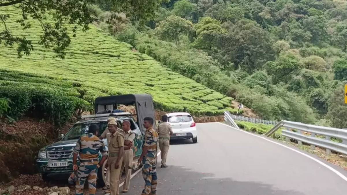 Arikkomban Elephant Walk in Meghamalai Forest : theni collector warning people 