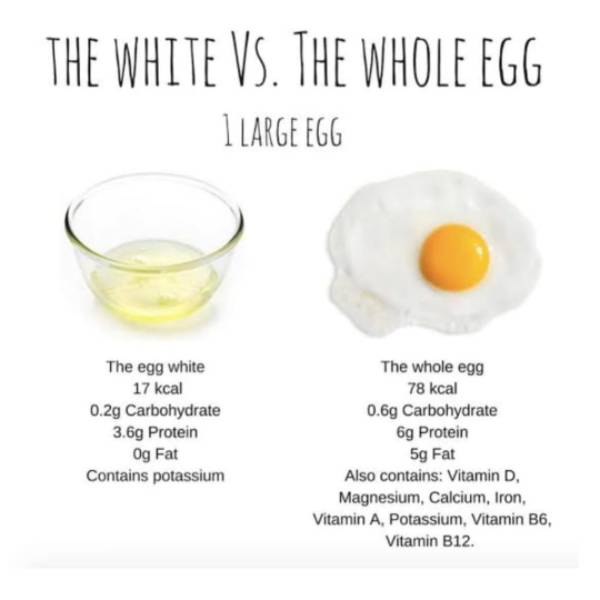 Dr Farook Abdulla advises which one is better Eggs Yellow yolk Vs White 