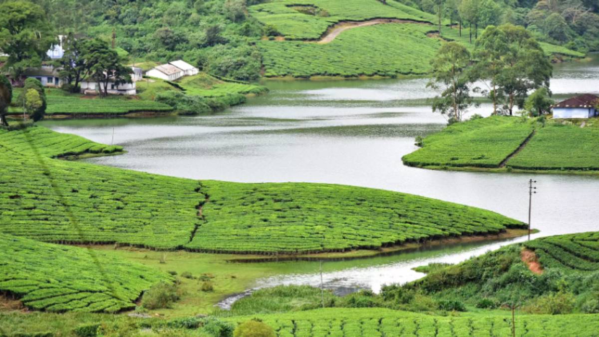 It is not Gods land,The land where God wants to live: Do you know what is around Theni? 