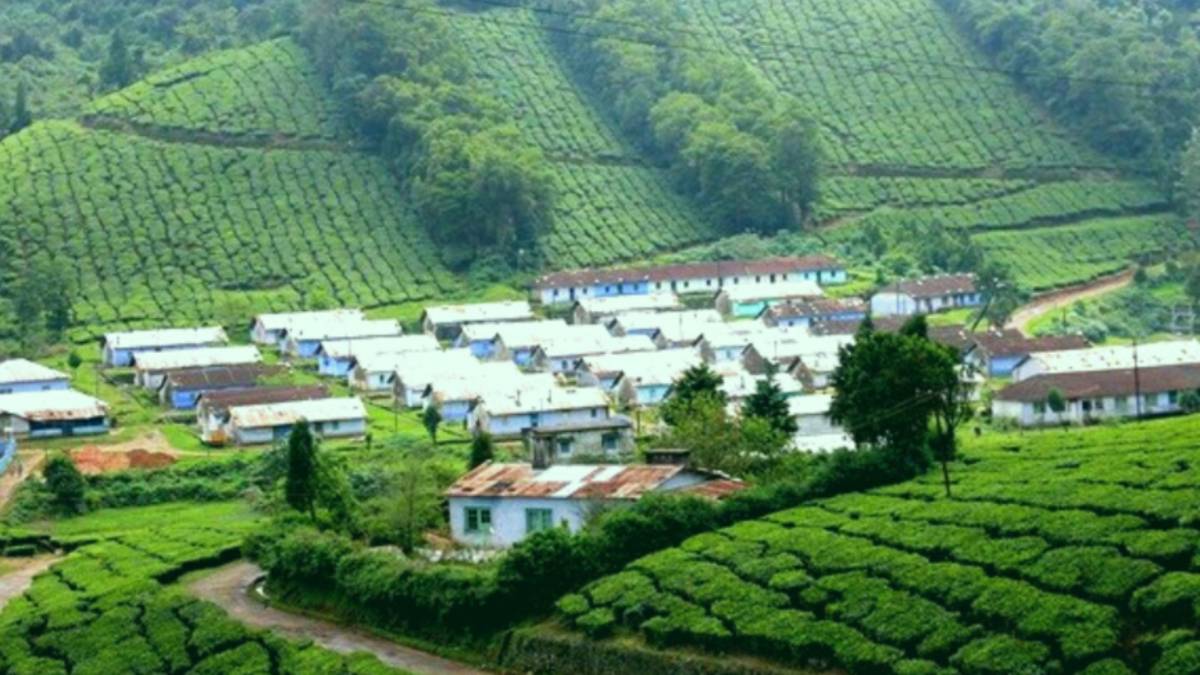 It is not Gods land,The land where God wants to live: Do you know what is around Theni? 